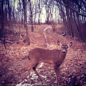 Meet your Posher, Delaney